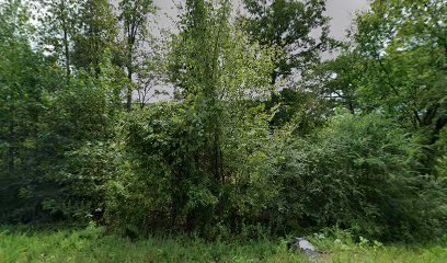 Whitetail Haven Cabin