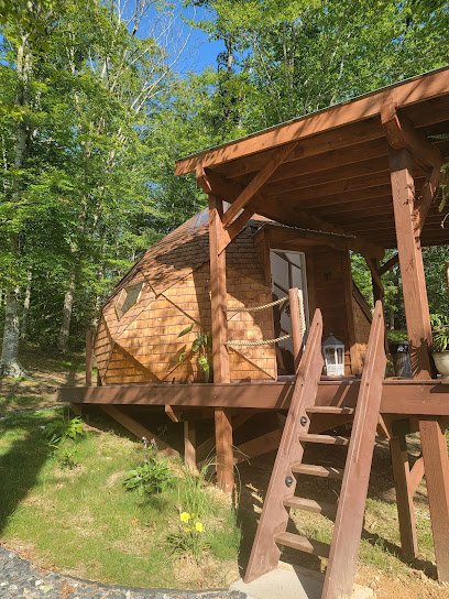 Beneath the Beech Trees