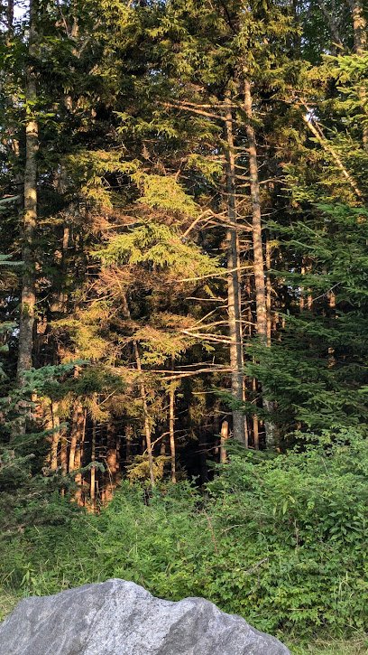 Deer Creek Cabin in Sprucewold