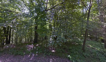 Lake Maria State Park Cabin 3