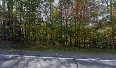 River Life Cabin Rentals