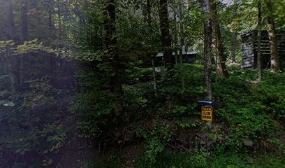 Firefox mountain cabin 1