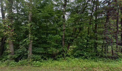 Antler’s Grove Cabin