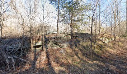 Museum Adirondack’s