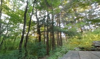 White Birch Campsite